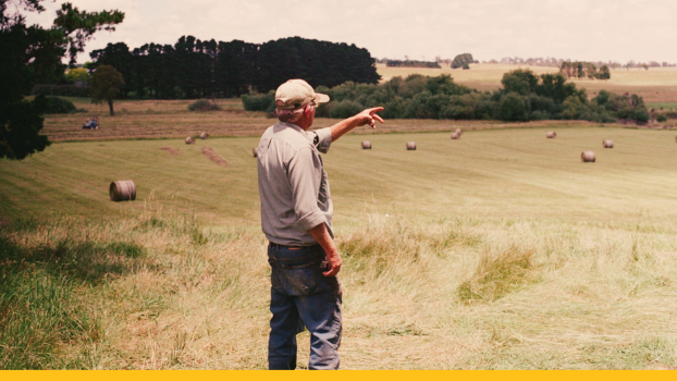 Farmer pointing and looking out at paddock