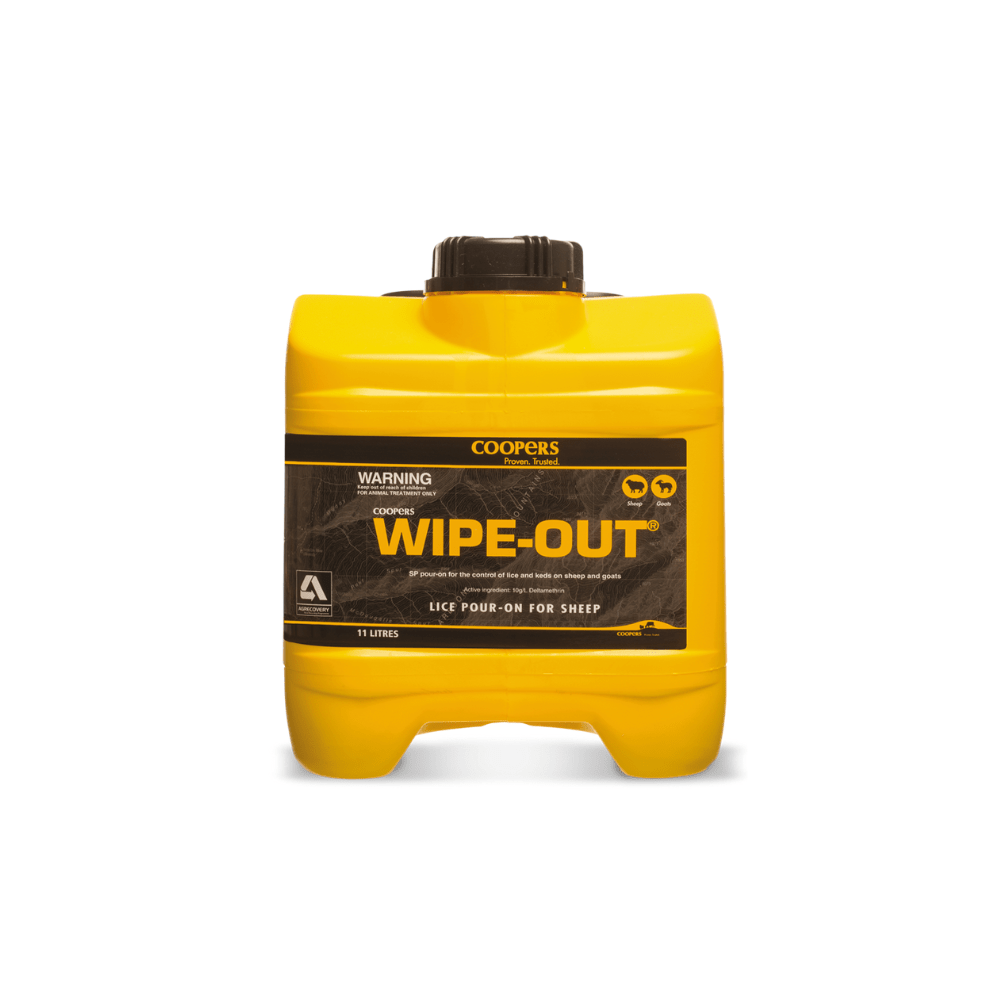 Wipe Out 
