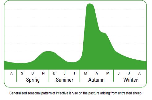 diagram of seasons